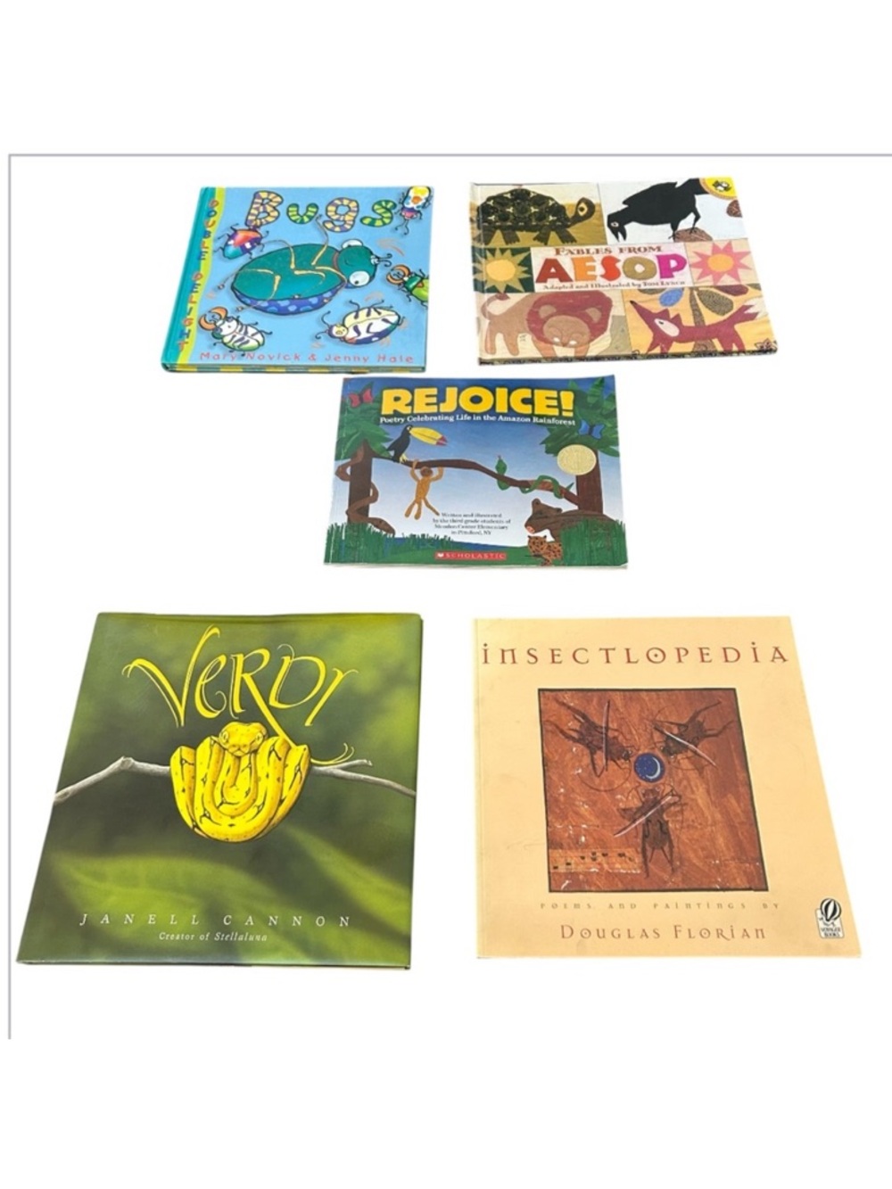 Colorful Animals Reptile Bugs
Insects Amazon Rainforest young Readers books (5)